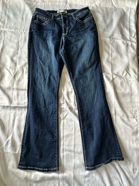 EUC BKE Gabby Curvy Fit Bootcut Jeans—29 31 1/2